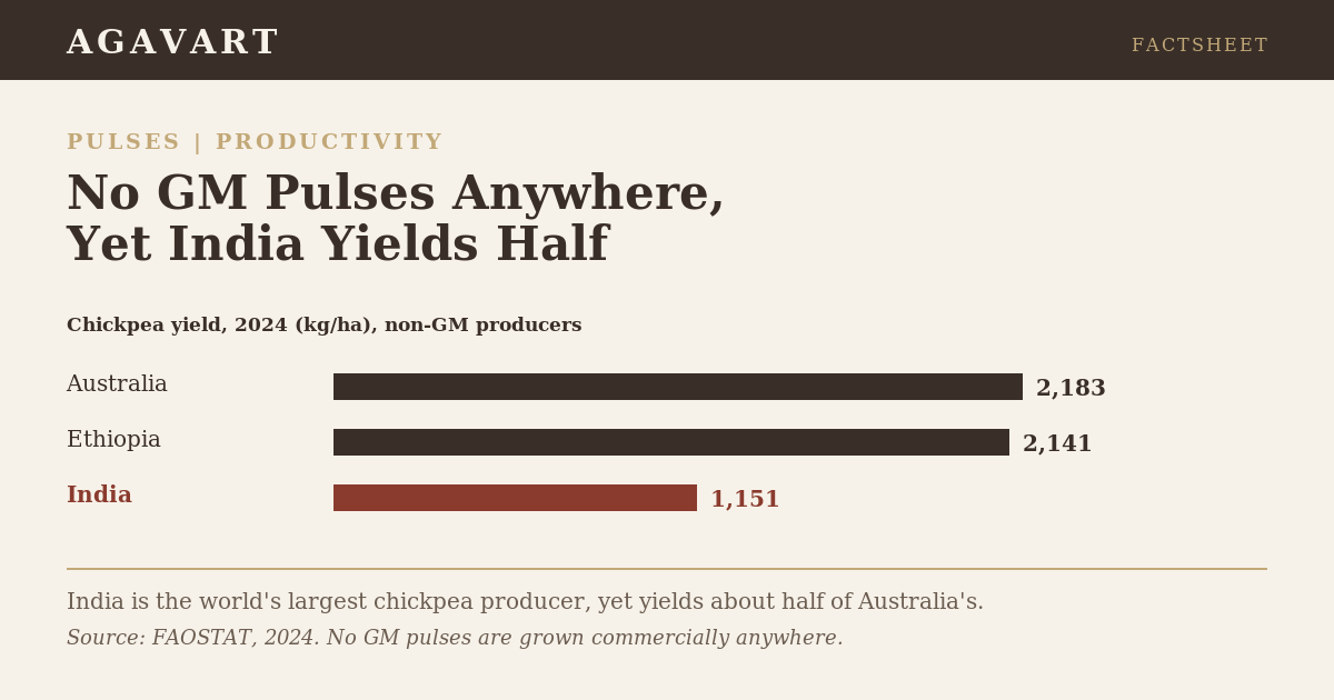 Chickpea yield 2024: India about 1,151 kg per hectare, roughly half of Australia's 2,183 and Ethiopia's 2,141, all non-GM